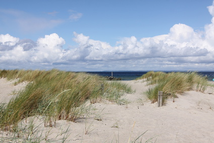 Strandkorb an der Ostsee